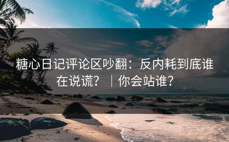 糖心日记评论区吵翻：反内耗到底谁在说谎？｜你会站谁？