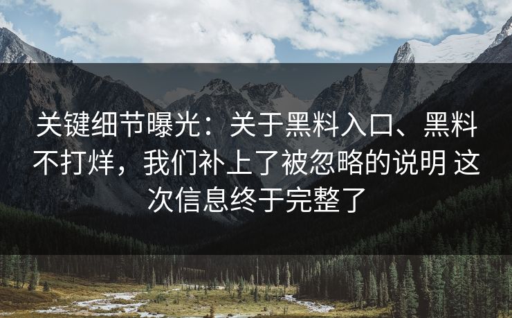 关键细节曝光：关于黑料入口、黑料不打烊，我们补上了被忽略的说明 这次信息终于完整了
