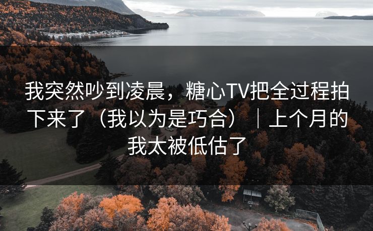 我突然吵到凌晨，糖心TV把全过程拍下来了（我以为是巧合）｜上个月的我太被低估了