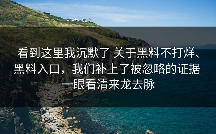 看到这里我沉默了 关于黑料不打烊、黑料入口，我们补上了被忽略的证据 一眼看清来龙去脉