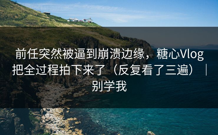 前任突然被逼到崩溃边缘，糖心Vlog把全过程拍下来了（反复看了三遍）｜别学我