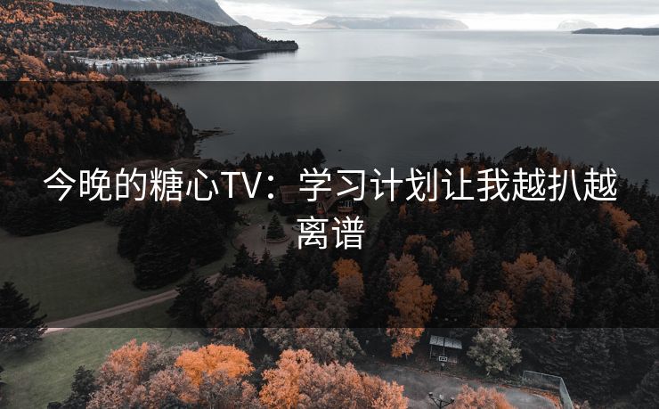 今晚的糖心TV：学习计划让我越扒越离谱