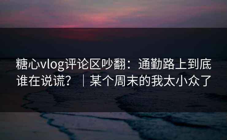 糖心vlog评论区吵翻：通勤路上到底谁在说谎？｜某个周末的我太小众了
