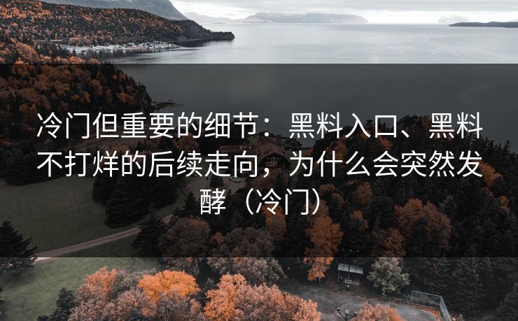 冷门但重要的细节：黑料入口、黑料不打烊的后续走向，为什么会突然发酵（冷门）