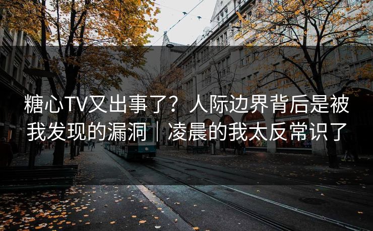 糖心TV又出事了？人际边界背后是被我发现的漏洞｜凌晨的我太反常识了