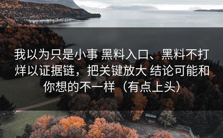 我以为只是小事 黑料入口、黑料不打烊以证据链，把关键放大 结论可能和你想的不一样（有点上头）
