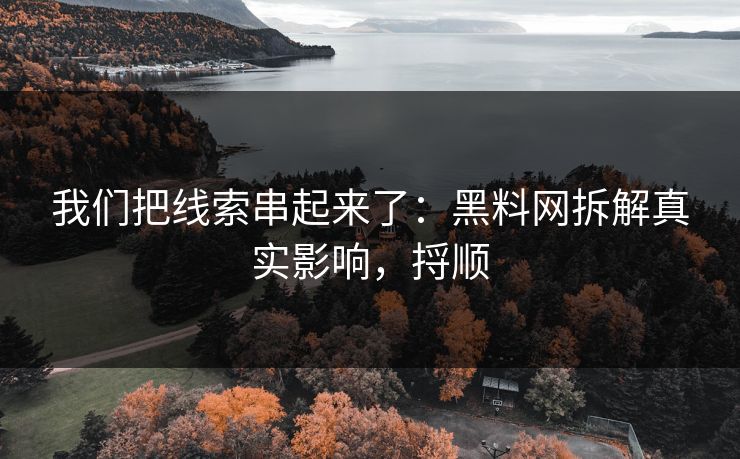 我们把线索串起来了：黑料网拆解真实影响，捋顺