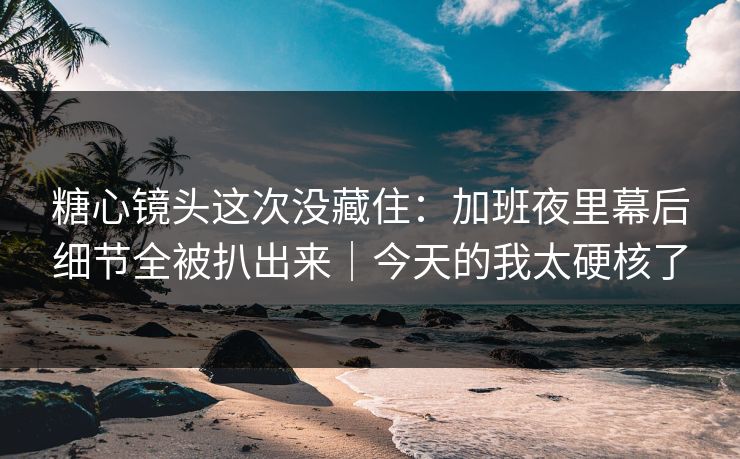 糖心镜头这次没藏住：加班夜里幕后细节全被扒出来｜今天的我太硬核了